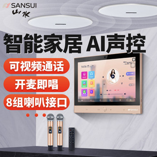 Sansui/Shanshui DM-8 family background music host system wireless whole house intelligent ceiling audio theater