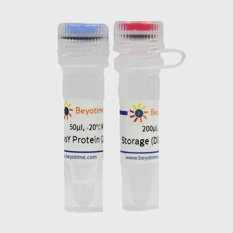 D7061S-100ug T4 UvsY Protein