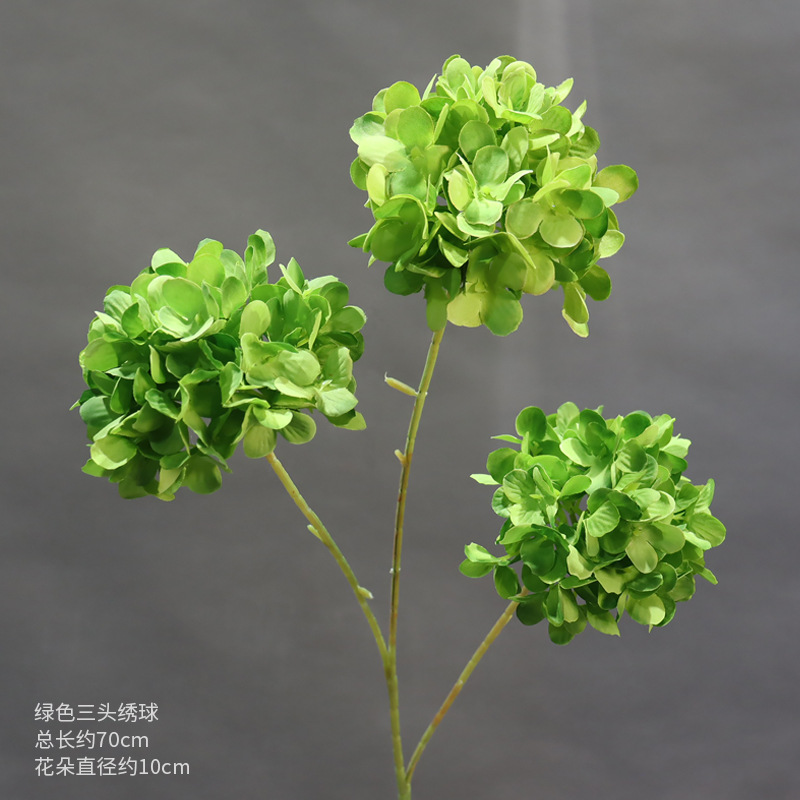 Hortensia verde de tres cabezas