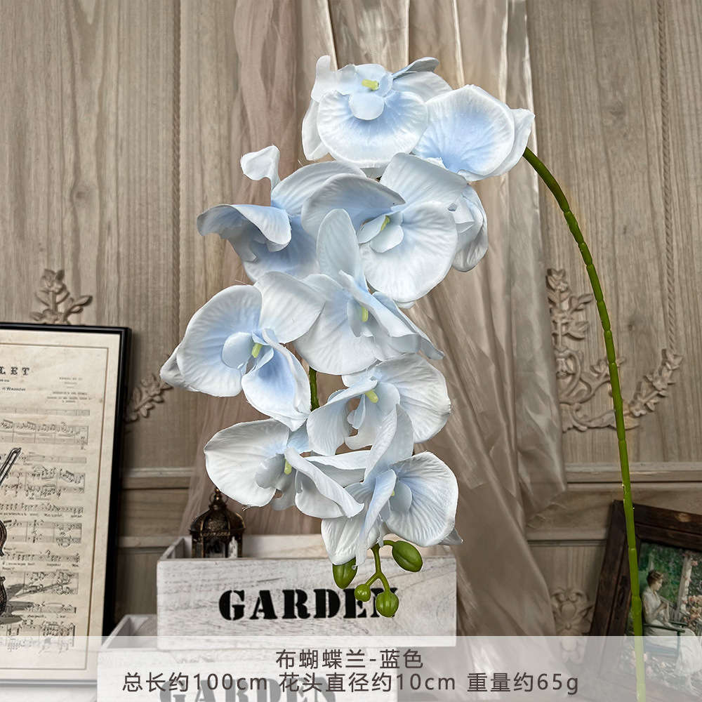 XD-cloth phalaenopsis-Blue
