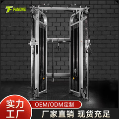 方威ジム小飛鳥総合訓練器専門の竜門架力器械商用家庭用フィットネス器材