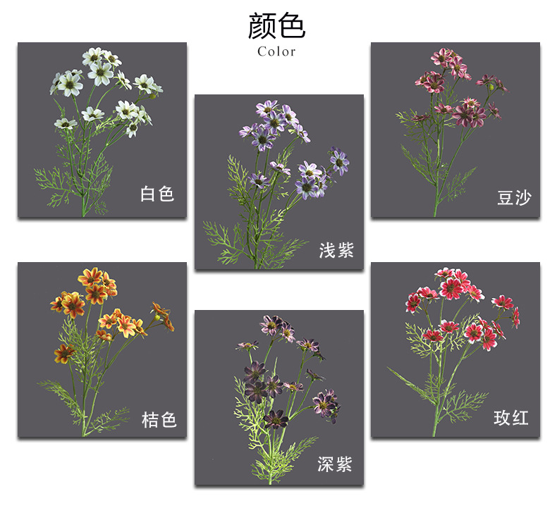 小雏菊一花_03.jpg