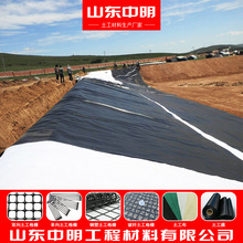 垃圾填埋场防渗土工膜水库河道防渗HDPE土工膜养殖用环保土工膜