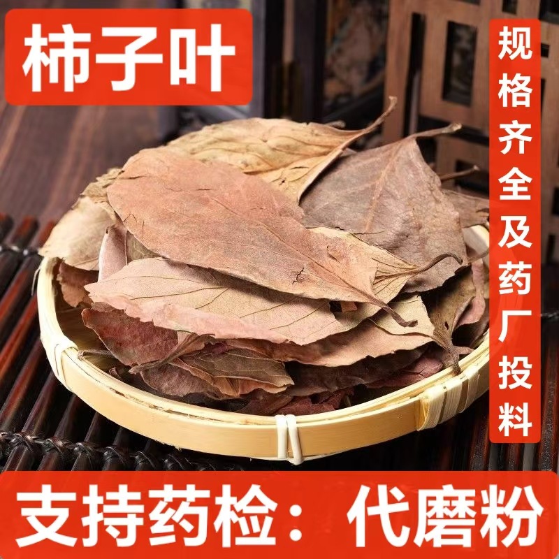 大货批发柿子叶 柿子叶茶 中药材柿子叶 霜后柿子叶 代磨粉