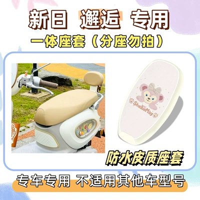 Electric vehicle foot mat, New Day Encounter Special Package - waterproof-seat-cushion-cover-yb-shirley-rose-pink-special-for-xinri-encounter
