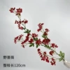 Wild Rose-Red