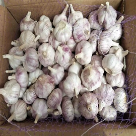 蒜;洋葱;块茎类