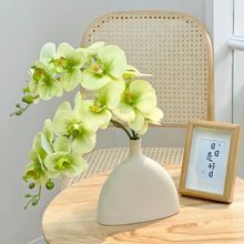 高端蝴蝶兰仿真花艺假花摆花客厅摆设花家居装饰假花摆件电视柜