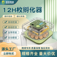 WONEGG12枚小鸡孵化机益智孵化器蛋孵化设备带照蛋水瓶全透上盖
