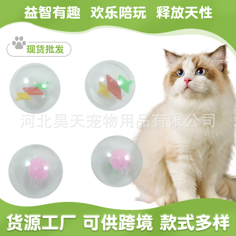 투명한 공으로 고양이를 재미있게 놀리고, 지루함을 해소하며, 훈련과 상호작용을 위한 장난감, 고양이를 위한 교육용 장난감, 새끼 고양이를 위한 재미있는 소리나는 만화 캐릭터 장난감