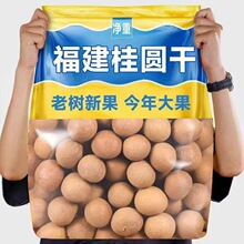 大果桂圆干龙眼干500g非特级无核桂圆肉干货精选福建莆田特产肉厚