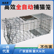 人道救助猫笼新品捕猫笼镀锌抓猫器流浪猫专业救助洗澡抓猫笼维