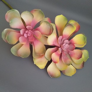 �������ֲ���L֦2������ɏʯɏ�� ����ʽ�ҾӘӰ��g�Ƶ꾰�^�b�