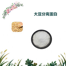 沃特莱斯生物 大豆分离蛋白 水溶性粉末 厂家供应 2kg起批