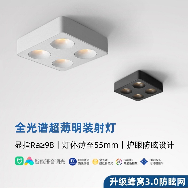 Ultra thin mounted LED lights