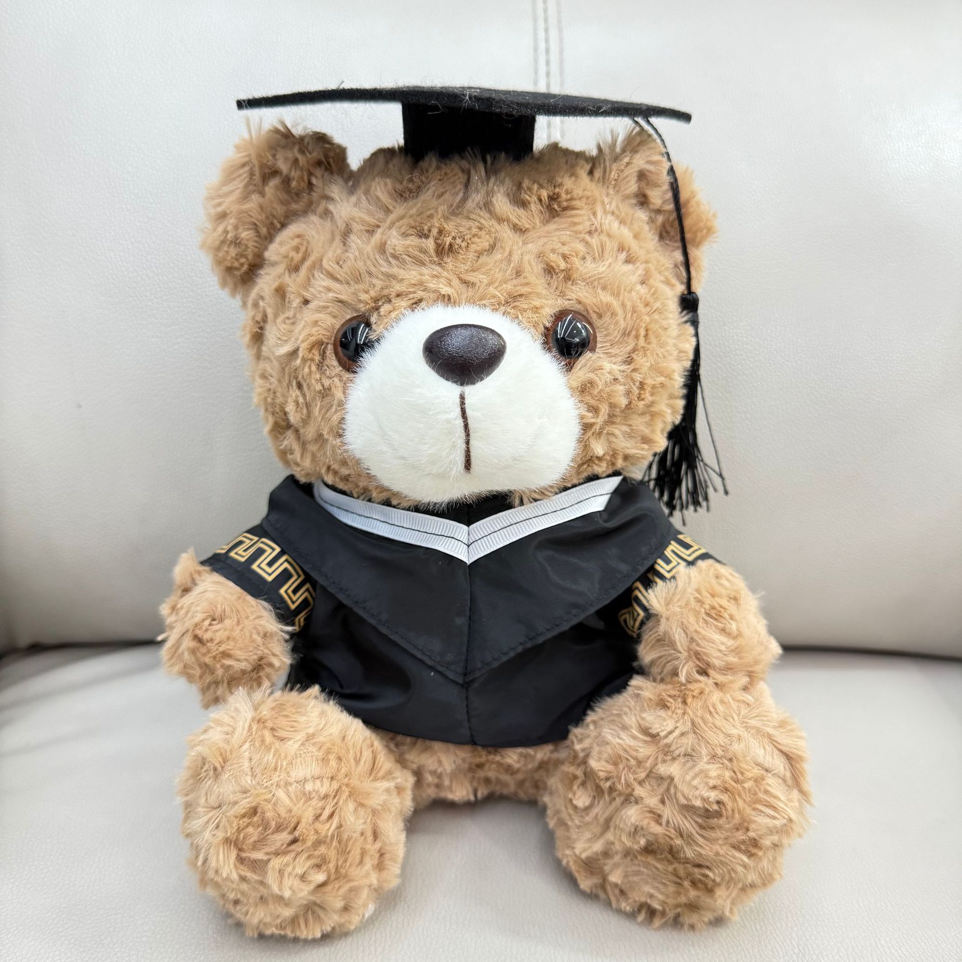 Graduación Teddy Bear Puppy Doctor Teddy Bear School Print logotipo regalo de graduación