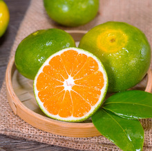 ����۽����rˮ��9����Ƥ���ّ����������ӟo�ѽ����ЋD������]