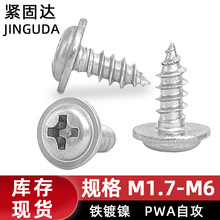 PWA铁镀镍带垫自攻螺丝钉十字自功丝带介螺絲自贡尖尾木螺钉厂家