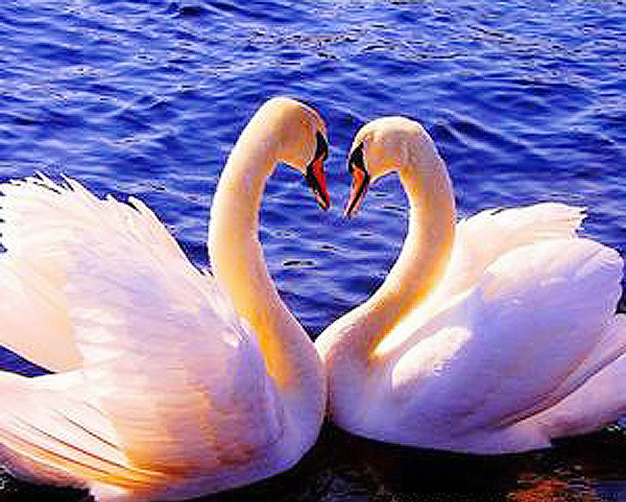 Cross-border 5d Amazon diamante pintura pegatinas hecho a mano DIY animal ladrillo pintura sala de estar pintura decorativa pegatinas al por mayor