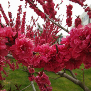 ͥԺ�^�p�һ��t�~���Ҙ������~�����繤�̾G�������~�҄e���L����