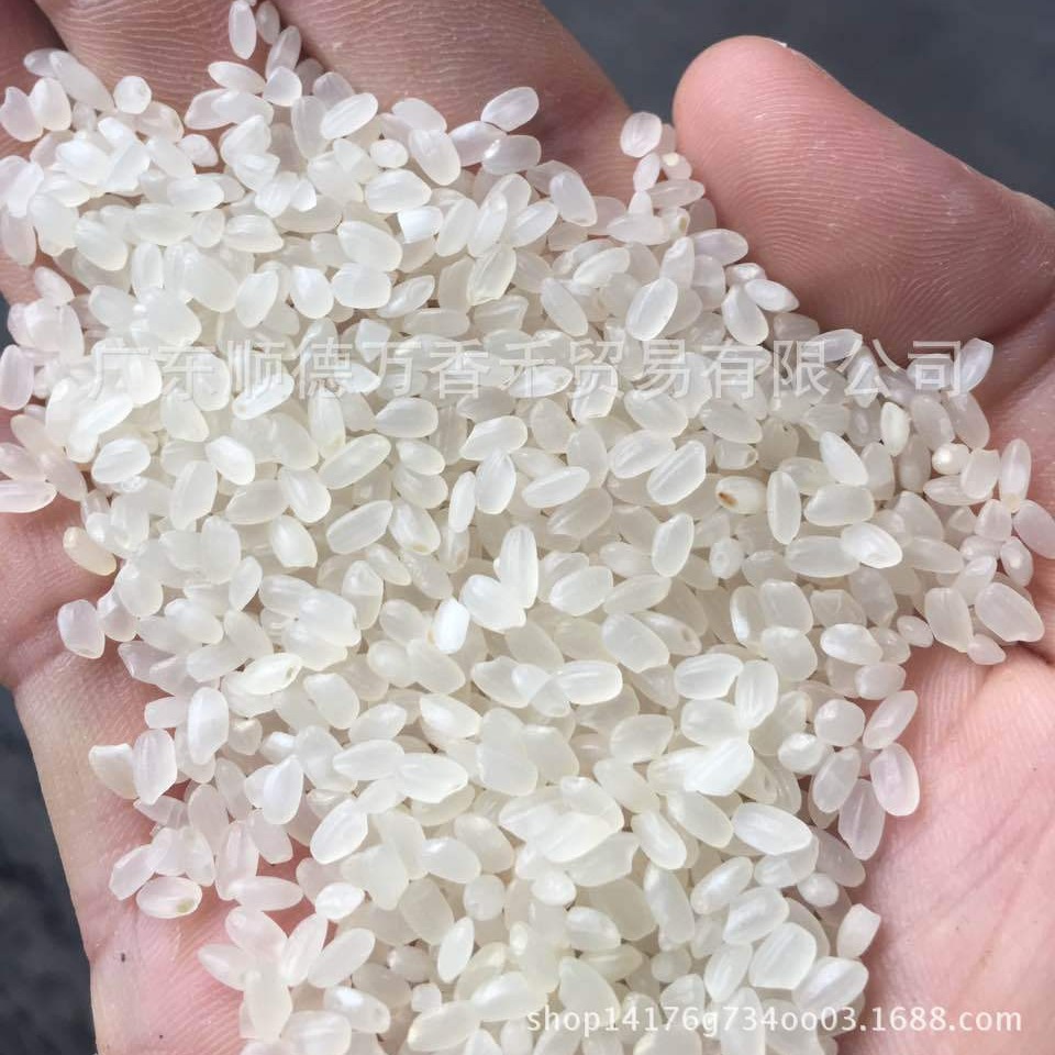 东北珍珠米 国产珍珠米 食堂米 东北米 台湾珍珠米