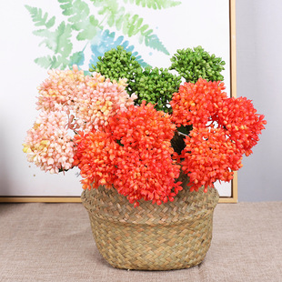 ����������й� ܛ�z�L�Ź����ϲ˻��Ӽ��b� ����������й����l