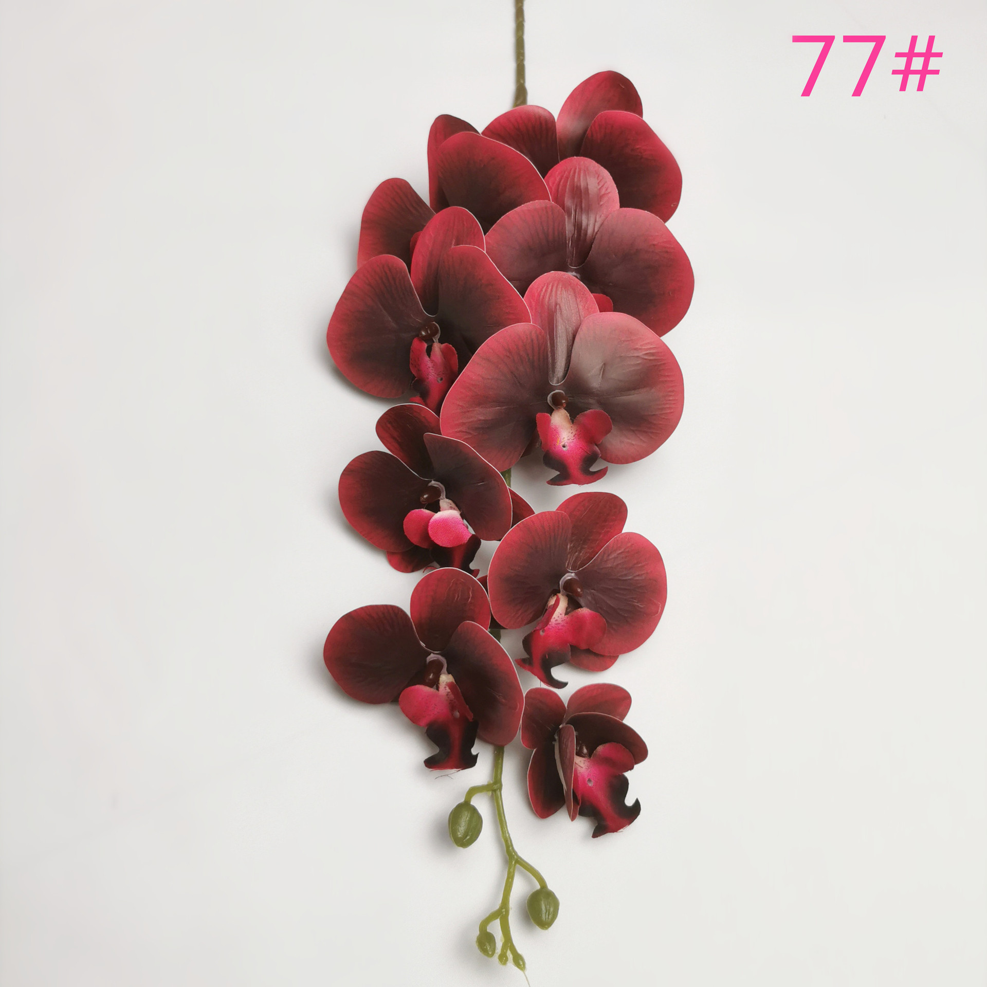 IMG_20220531_183835_副本