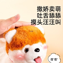 С����߹�����·������ż��ͯ����늄ӌ����������������