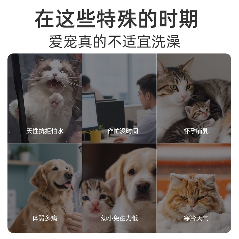 ペット用使い捨て手袋 犬猫用 洗浄・消臭・入浴不要の清掃用手袋 フォグリーフレグランス付き フォグリーフレグランス付き 6枚入|undefined