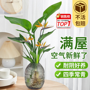 �����B���Ի���ֲ���҃����B�������Q���m�͏d�Gֲ�o��ˮ��ֲ��