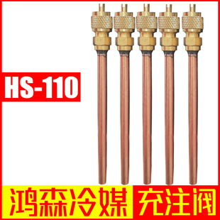 ��ɭ��ý��ע�y HS-110��������y ���{������ý����y��Һ��y