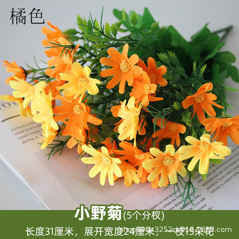 Naranja Crisantemo salvaje