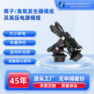 Source Manufacturer of New Energy Vehicle Dc High Concentration Positive and Negative Ion Sterilization and Disinfection Air Purifier Accessories