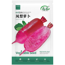 萝卜种子凤梨水果夏季四季樱桃小罗卜种籽红胡萝卜孑潍县蔬菜大全