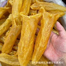 黄花胶筒9-10头厚肉鱼胶花胶鲜炖黄花胶海味干货一德路档口批发