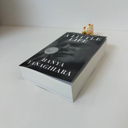 A Little Life
