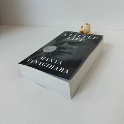 Книга A Little Life (Hanya Yanagihara) — английское издание, мягкая обложка, финалист Man Booker