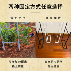 Arched pergola flower trellis outdoor courtyard garden rose clematis support vine plant climbing frame grape trellis