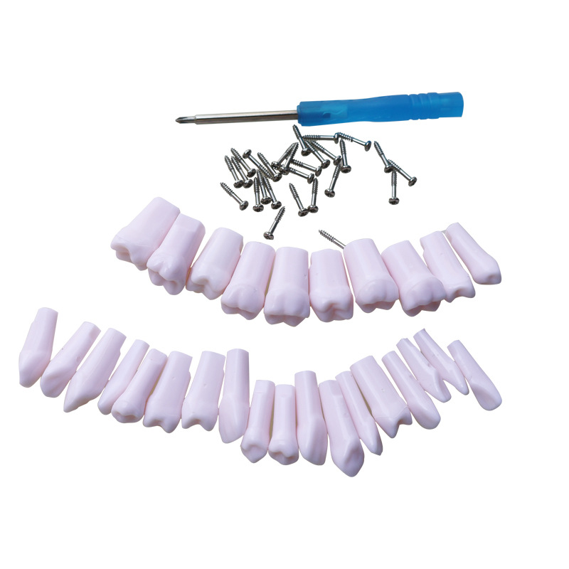 Dientes de Resina para Práctica Dental de 28 Piezas