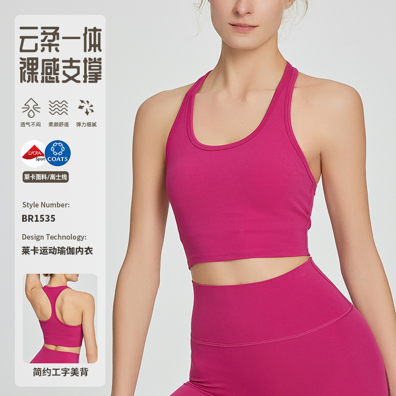 Yoga Clothes for Women, Naked-Feel Running Sports Bra, Shockproof Fitness Backless Top, Yoga Vest, Elastic Light Shaping