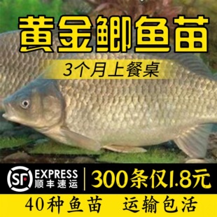 ��Ʒ�N�a�~���п���̖�����a����a�߱���ˮ�Bֳ���w����~��