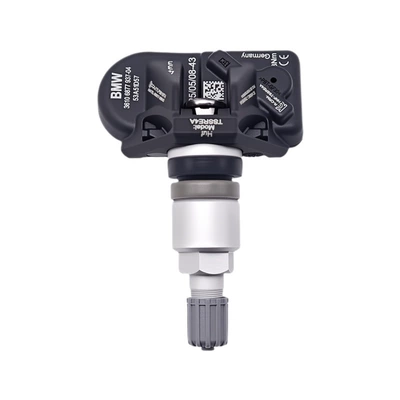 built-in detector, Tire pressure monitoring system