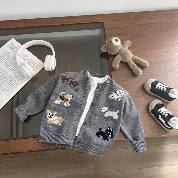 Sweater for boys