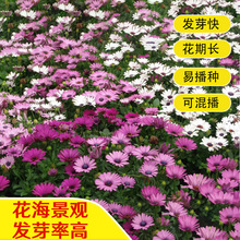 f۾շNͺݻļN@־^̾G컨N