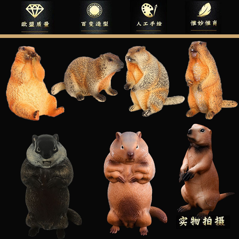 跨境仿真实心野生动物儿童认知模型土拨鼠旱獭地松鼠玩具摆件