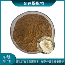 菊苣提取物 10:1 20:1 30:1 水溶性菊苣浓缩粉 菊苣多酚 品质现货