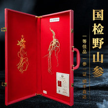 �����L��ɽҰɽ�����zһ��20�������صȅ������Y�����L݅���l