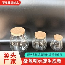 苔藓微景观生态瓶 微景观水滴生态瓶 木塞生态瓶批发