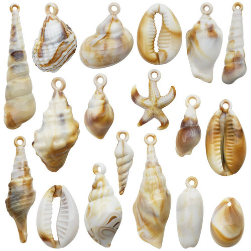 1 Acrylic Sea Shell Natural Dual Color Cloud Pattern Small Snail Pendant DIY Necklace Bracelet Keychain Material