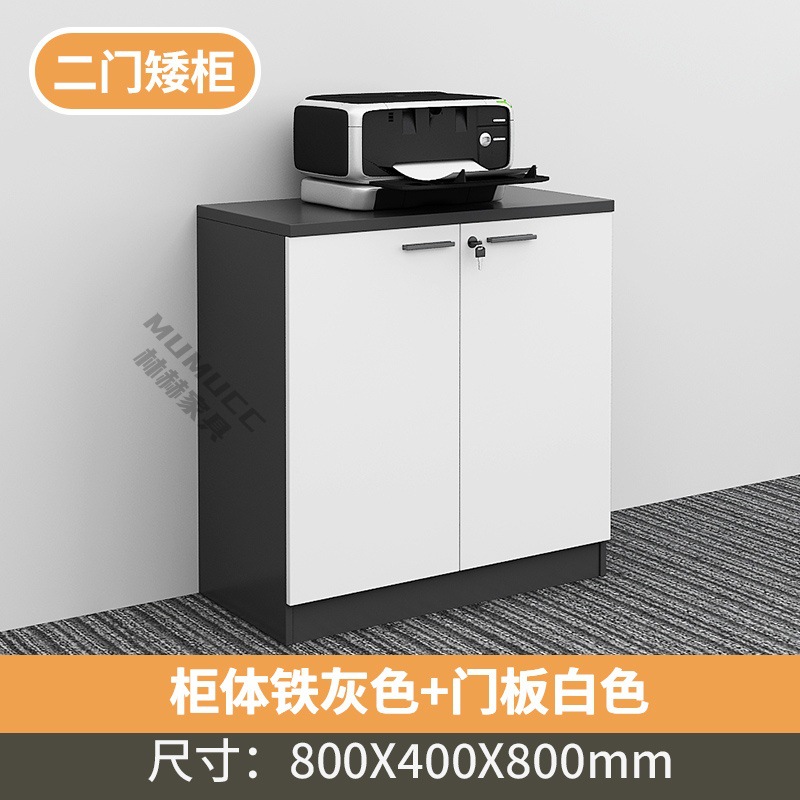 2-door cabinet (white + iron gray)